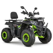 Двухместный бензиновый квадроцикл AFB200L-2-5 черно-зеленый